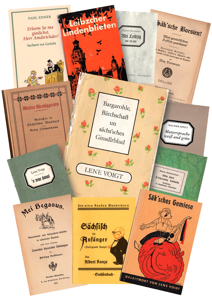 Eine Auswahl an Texten für die Sächsiche Lesebühne Lene Voigt